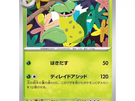 Pokemon Card Japanese 071 165 Victreebel sv2a TCG Online