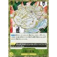 One Piece Card OP05-115 R Two-Hundred Million Volts Amaru Pirate Flag Foil TCG Online