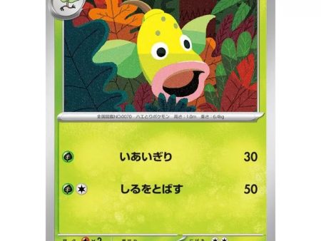 Pokemon Card Japanese 070 165 Weepinbell sv2a TCG For Sale