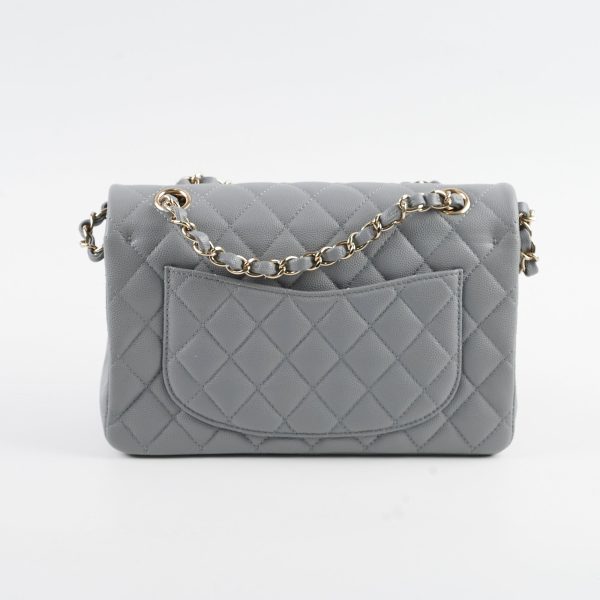 Chanel Classic Small Caviar Flap Grey 29 Series For Sale