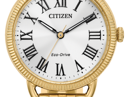 Citizen Eco-Drive Classic Watch Fashion