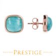 BRONZALLURE AMAZONITE POST EARRINGS Discount