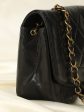 Chanel Lambskin Diana Small Flap Discount