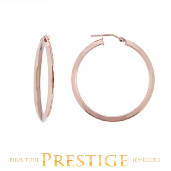 BRONZALLURE HOOP EARRINGS Supply