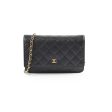 Chanel Wallet On Chain WOC Black Caviar - Series 25 Online Sale