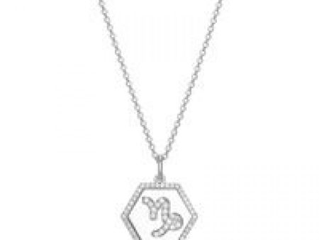 REIGN 925 Capricorn Zodiac CZ Necklace on Sale