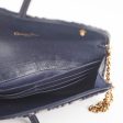 Christian Dior Long Saddle Wallet On Chain WOC Online Sale