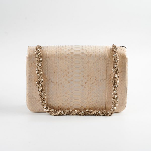 Chanel Python Flap Bag Light Gold Fashion