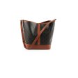 Celine Medium Bucket Triomphe Canvas and Calfskin Online Hot Sale