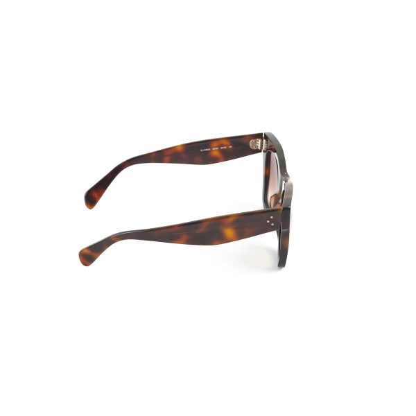 Celine Tortoise Shell Sunglasses Online Sale