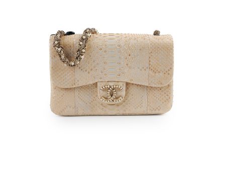 Chanel Python Flap Bag Light Gold Fashion