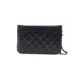 Chanel Wallet On Chain WOC Black For Discount