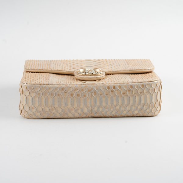 Chanel Python Flap Bag Light Gold Fashion