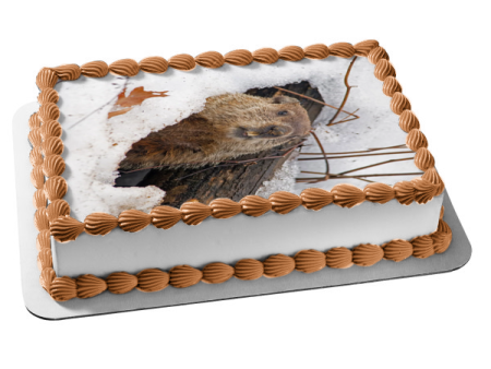 Happy Groundhog Day Edible Cake Topper Image ABPID57007 on Sale